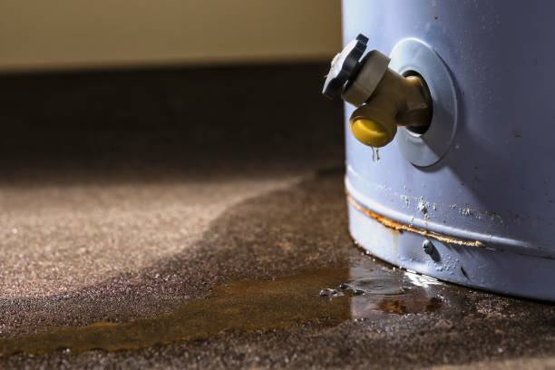 Best Sewage cleanup and water damage restoration  in Piermont, NY