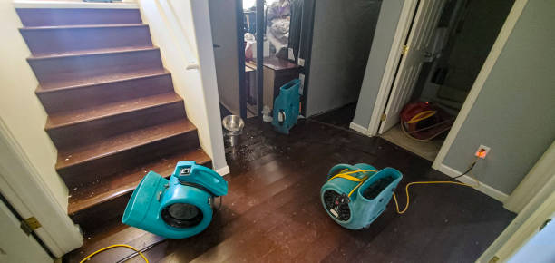 Best Professional water damage repair  in Piermont, NY