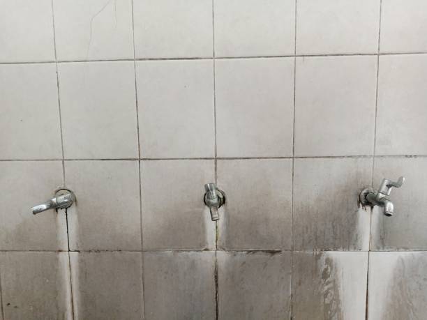 Best Flood damage cleanup  in Piermont, NY